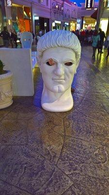 photo of Birgitta F.