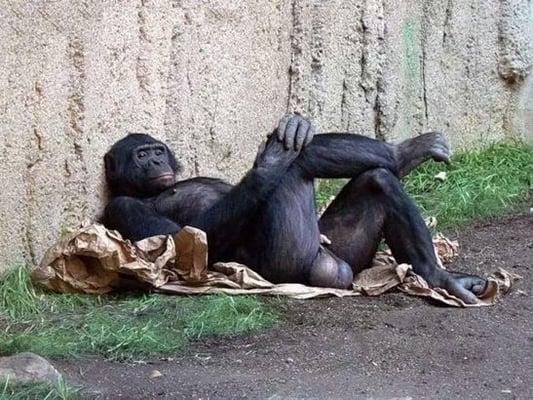 photo of Wise Ass F.