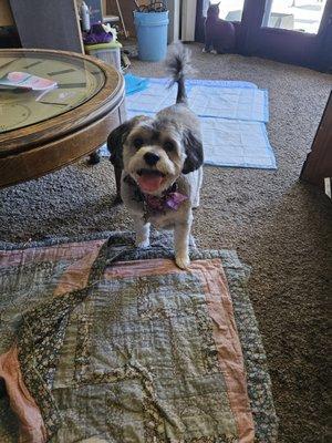 photo of Lorraine C.