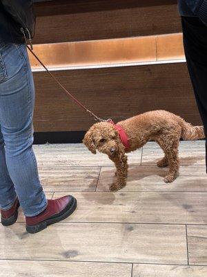 photo of Alastair D.