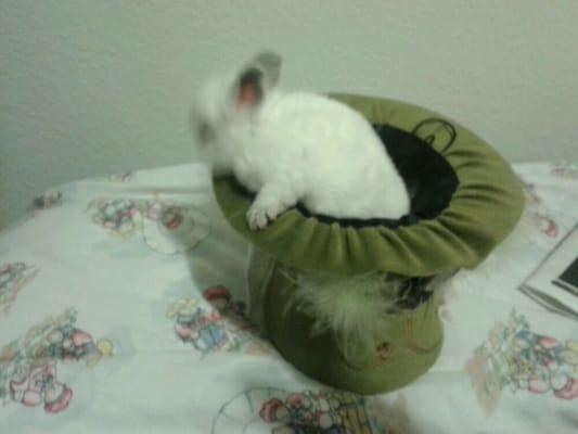 Photo of April T.