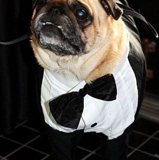 Photo of Hollywood G.