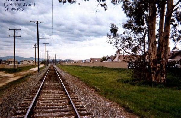 photo of Andrew Matt S.