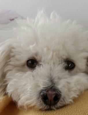 Photo of Suzy B.