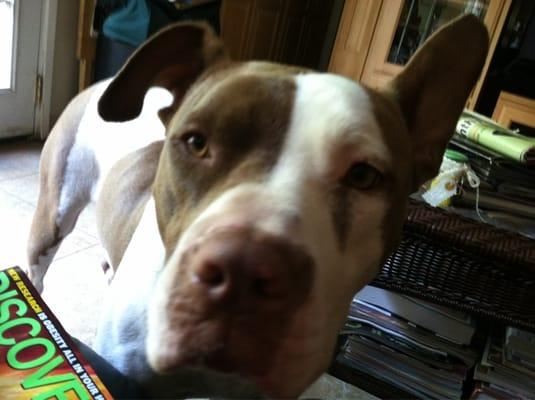 Photo of candy m.