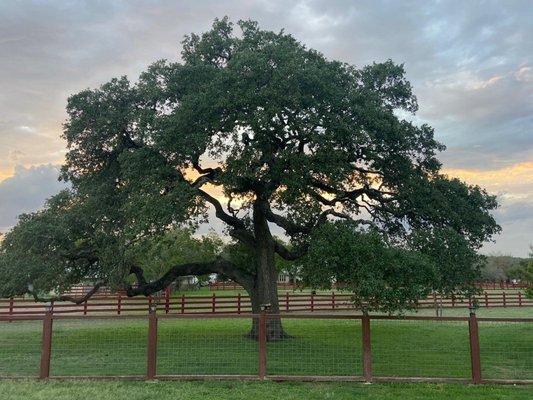 photo of Christopher T.