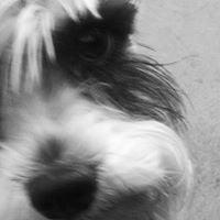 Photo of Elaina E.
