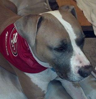 photo of Rochelle U.