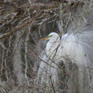 photo of Kimberly R.