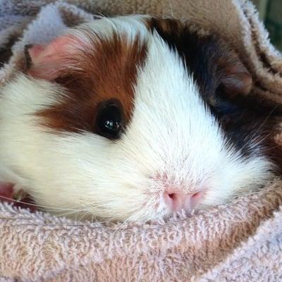 photo of Christina N.