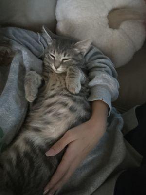 Photo of Zoie H.