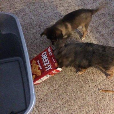 photo of Lindsey Rae-Palmer M.