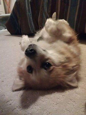 photo of Christina N.