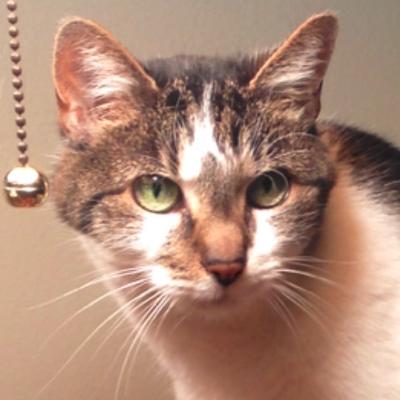 Photo of Mallory M.