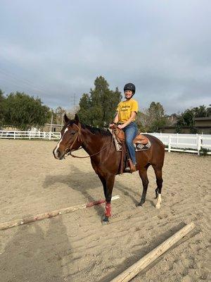 photo of Seashell V.