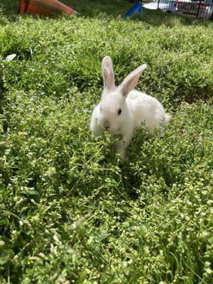 photo of Kimberly S.