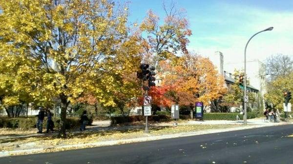 photo of Veronica L.