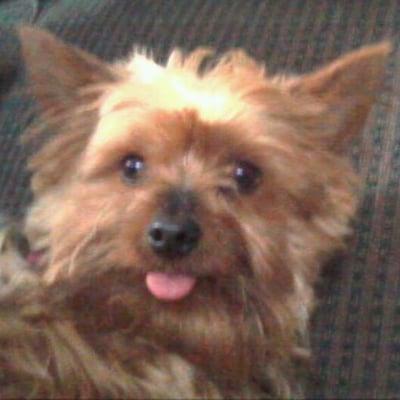 photo of Christian E.