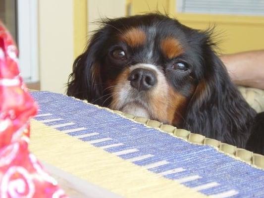 photo of Michelley M.