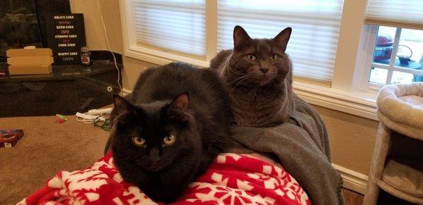 Photo of Jennifer H.