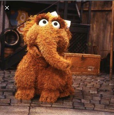 Photo of Snuffleupagus X.