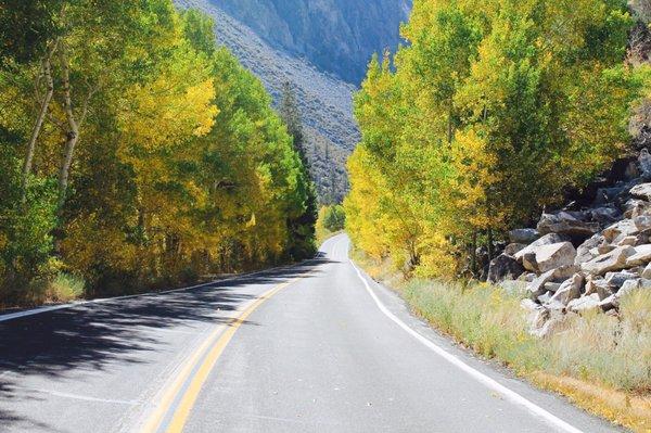 photo of Katelynn L.