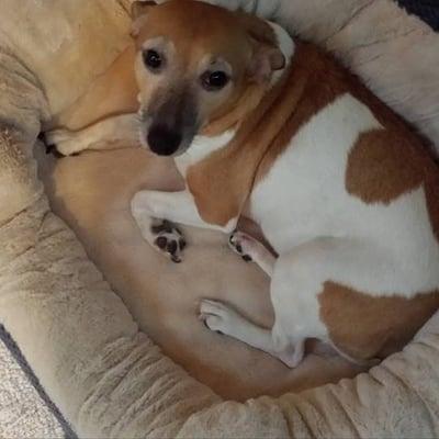 Photo of Adelaide L.