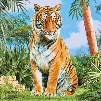 photo of Luis Esteban C.