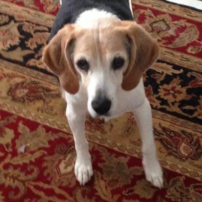 photo of Danielle S.