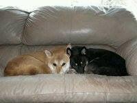 photo of Jennifer S.