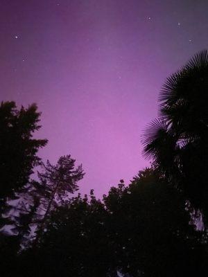 Photo of What is live I.