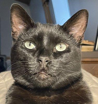 Photo of Ruby D.