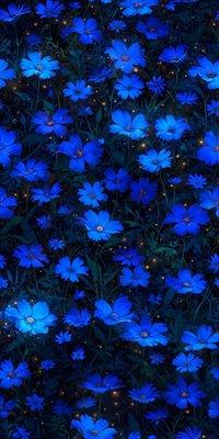 photo of Estefania C.