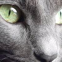 photo of Raven N.