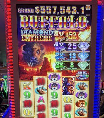 photo of Mitchelle R.