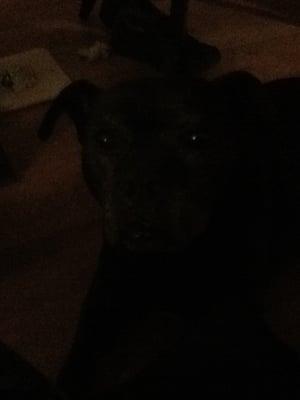 photo of Slick Rick M.