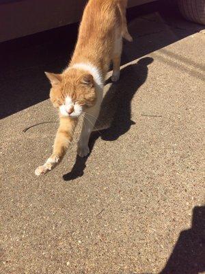 Photo of Elizabeth S.