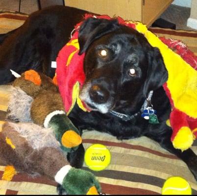 photo of Brittany D.