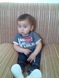 Photo of Nagham M.