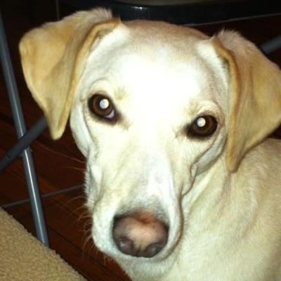 photo of LolasMomma K.