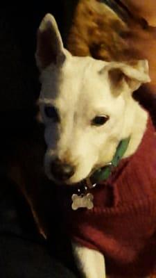 photo of Brittany G.