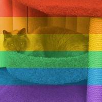 Photo of Brittany C.