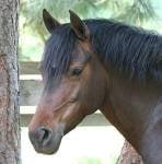 photo of Kimberly C.