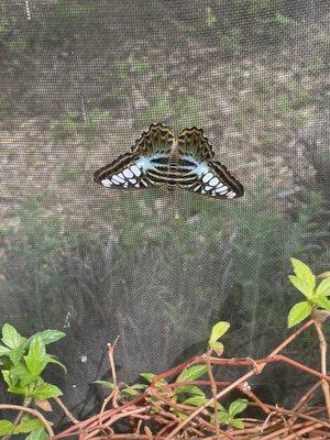 photo of Tanishia W.