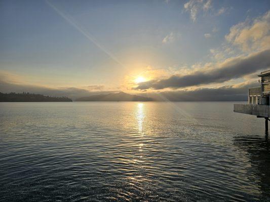 photo of Jacqueline V.