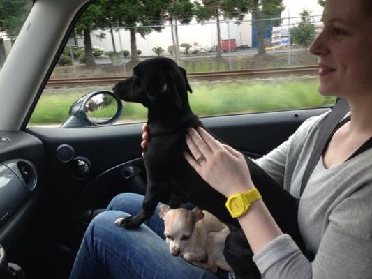 Photo of Christine G.