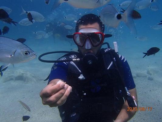 Photo of Hamed H.