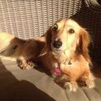 Photo of Sunny W.