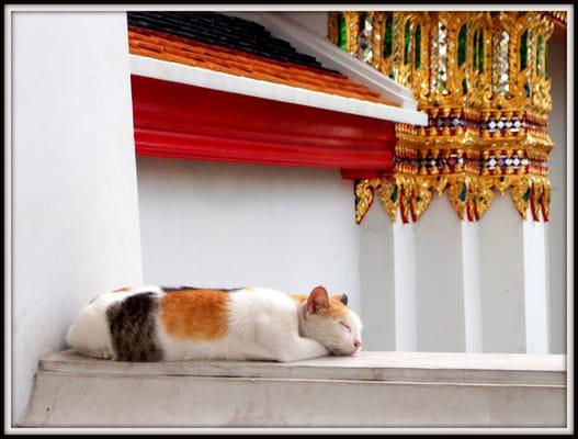 Photo of Michélina M.