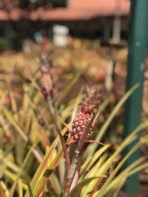 photo of Caroline S.